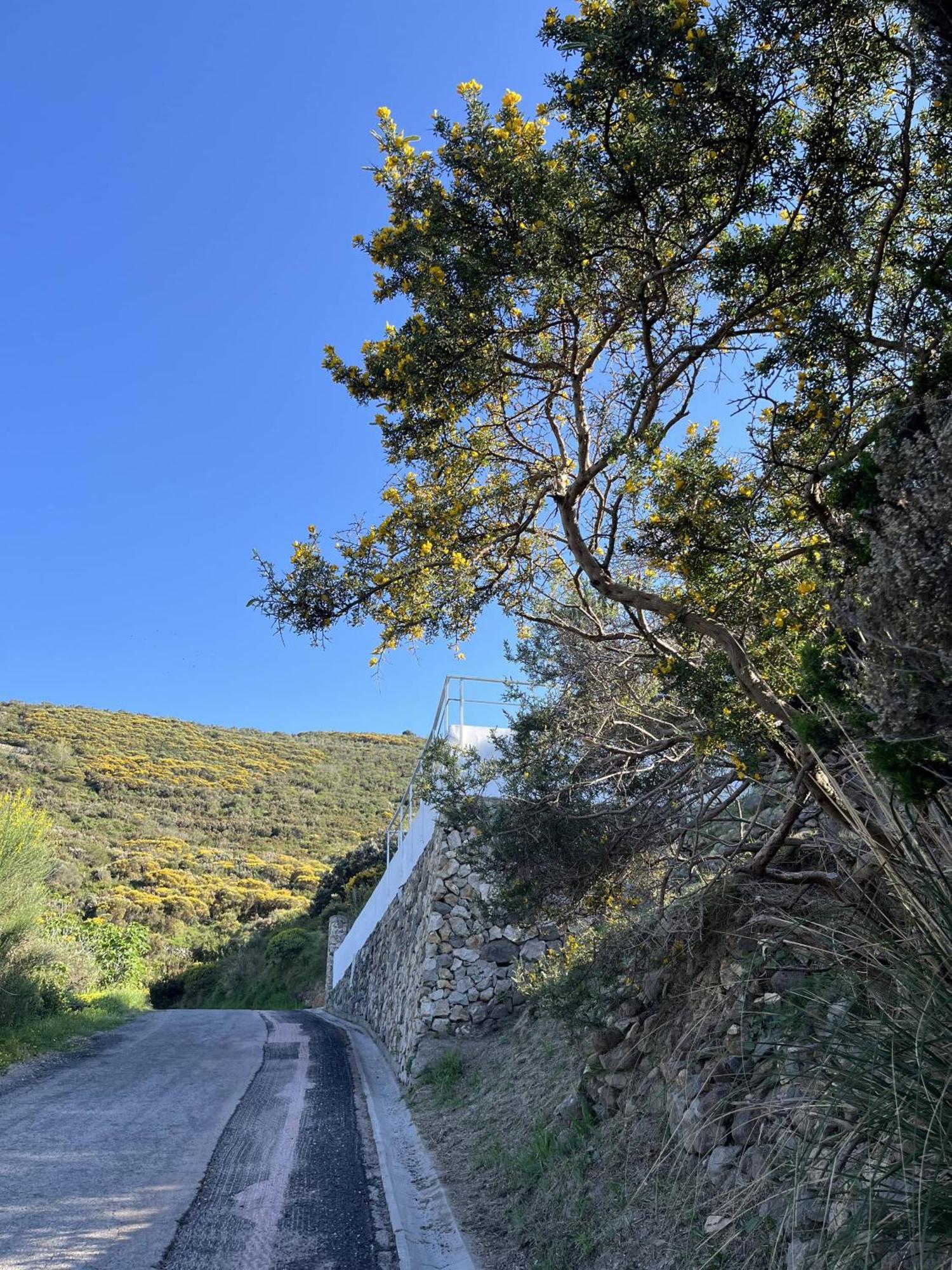 Il Mirto Villa Ponza Exterior photo